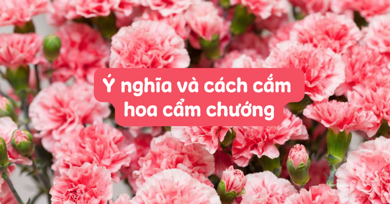 mot binh hoa cam chuong duoc cam nghe thuat tren ban goc nha